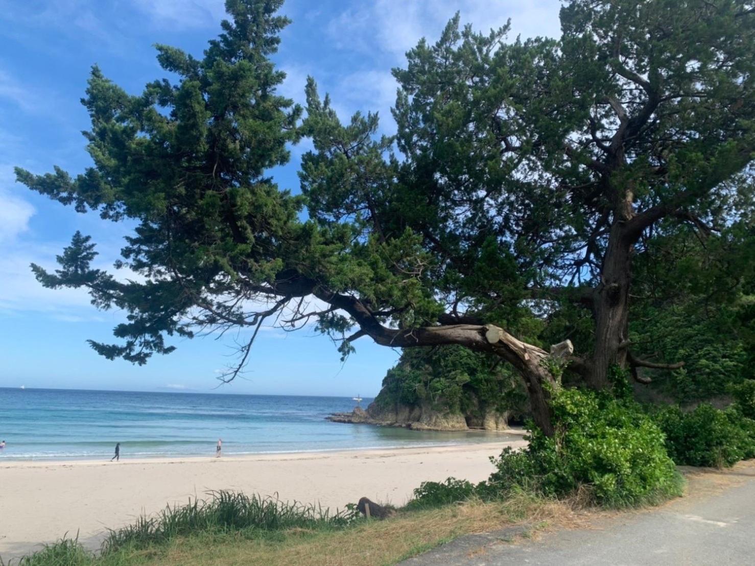 貸別荘吉佐美苑 Shimoda  Luaran gambar